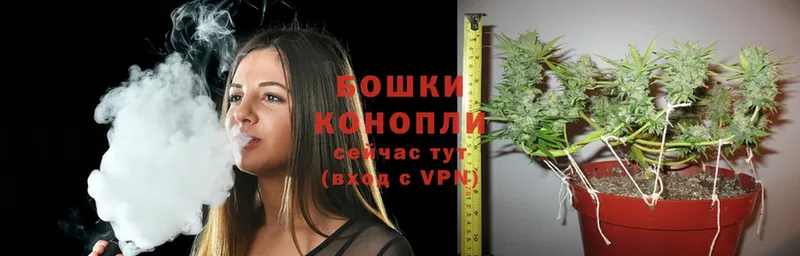 Шишки марихуана Ganja  MEGA онион  Алексин  купить наркоту 